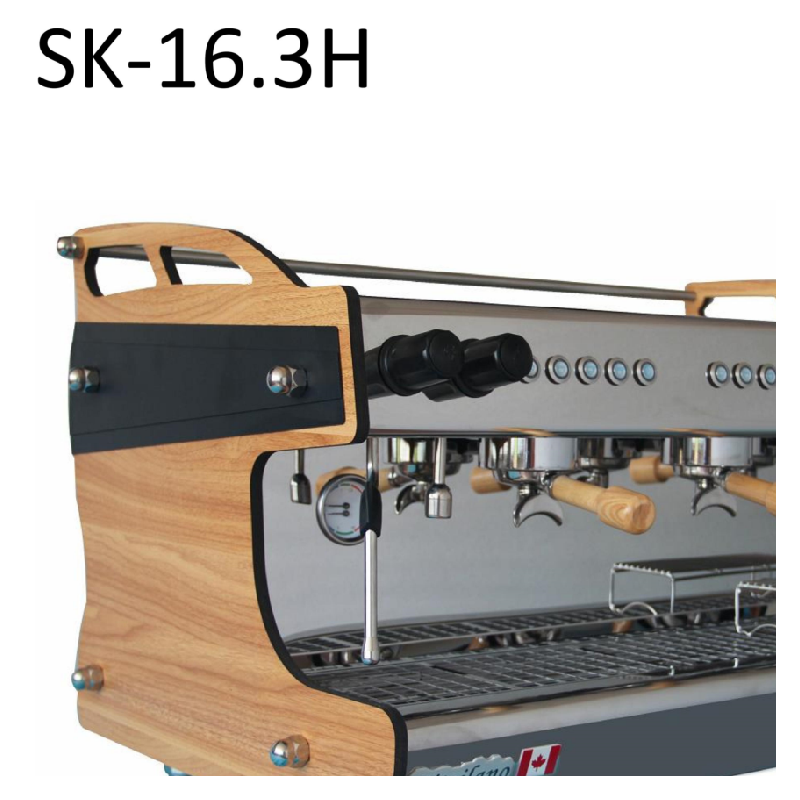 SK-16.3H